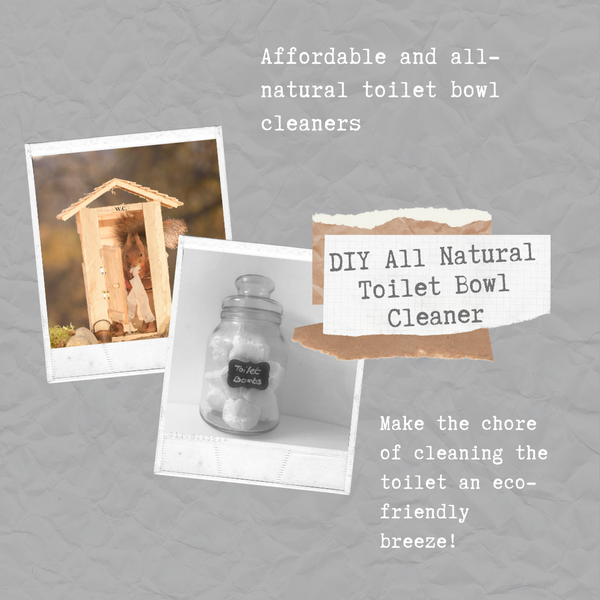 DIY All Natural Toilet Bowl Cleaner