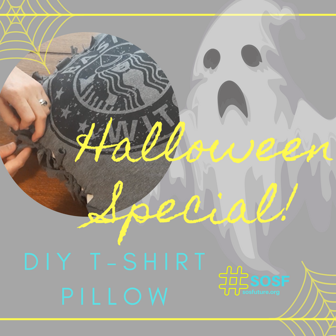 Halloween Special!  DIY T-Shirt Pillow