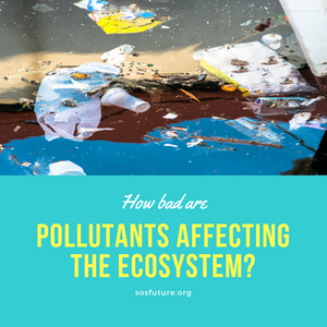How Bad Are Pollutants Affecting The Ecosystem?