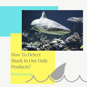 How To Detect Shark In Our Daily Products?