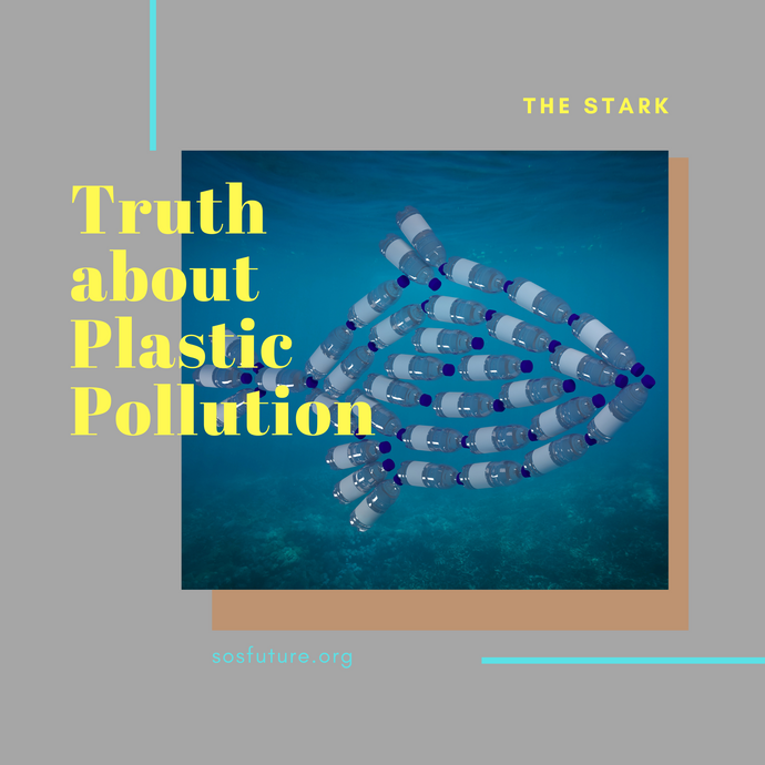 The Stark Truth About Plastic Pollution (And What We Can Do)