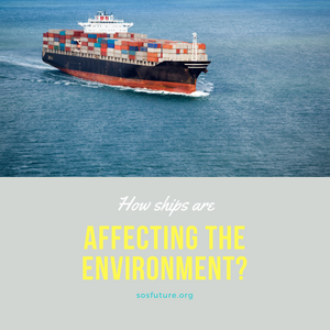 How ships are affecting the environment