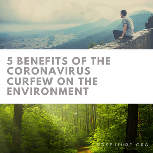 5 Benefits of the Coronavirus Curfew on the Environment