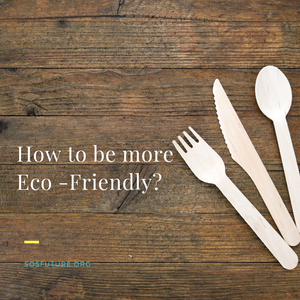How to be More Eco-Friendly