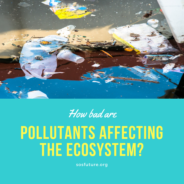 How Bad Are Pollutants Affecting The Ecosystem?