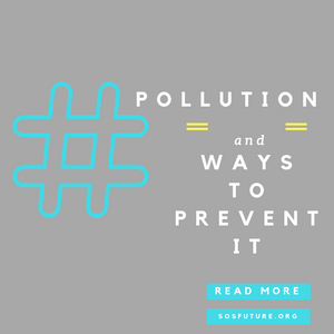 ways to prevent pollution