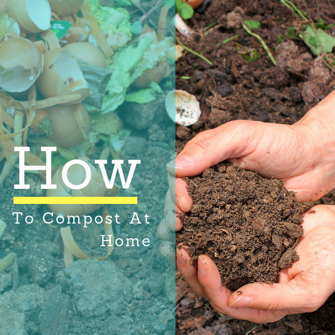 How To Compost At Home?