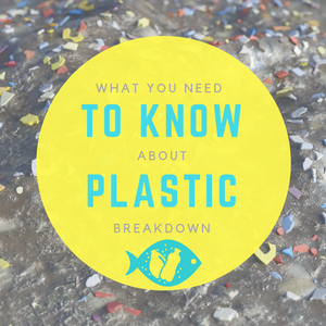 What you need to know about plastic breakdown